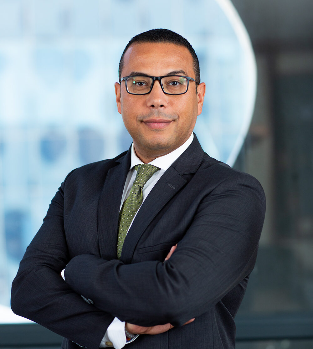 Ahmed Abdel Ghani